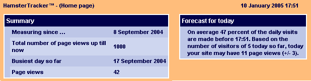 Picture of proof of 1000 hits since september 8, 2004