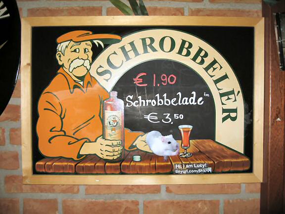 Picture of a Schrobbelr display with a cut out picture of my hamster Lucy.