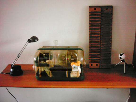 View of HamsterTracker(tm) Hamsters; Initial Cage setup