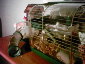 Picture of Lucy's upcomming cage expansion.