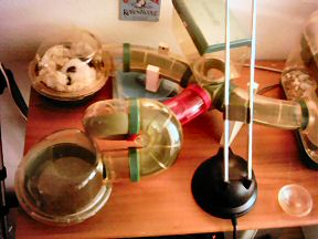 Picture of new cage setup.