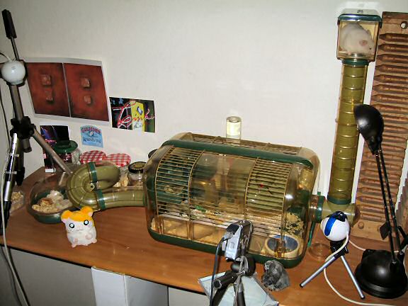 Picture of my hamster Lucy's new cage setup.