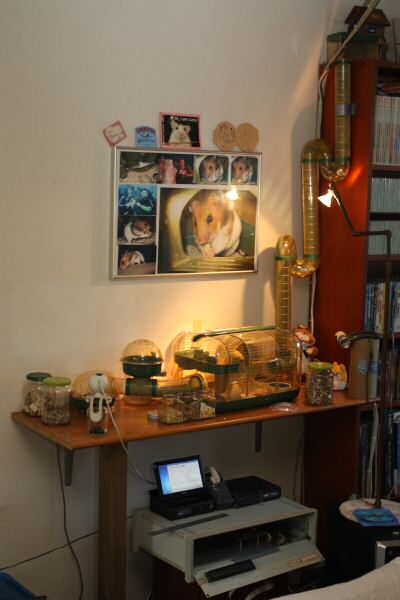 Lucy's 2nd Mansion-Expansion: Meditation Room !