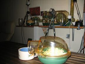 All's ready to switch bedrooms.