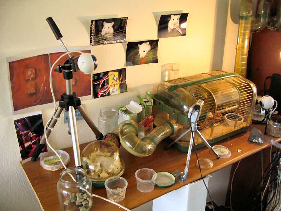 Picture of the mess around Lucy's cage.