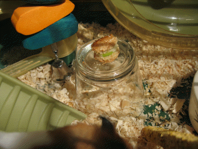 Cookin' 4 Lucy easy Cheese/Apple rolls.