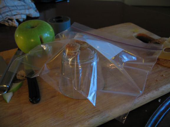 Cookin' 4 Lucy easy Cheese/Apple rolls.