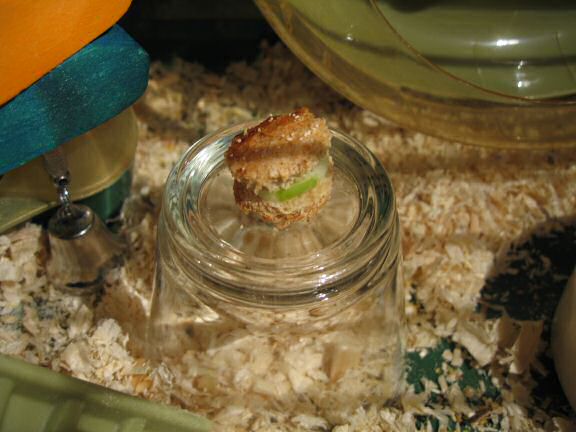 Serving Lucy 'Easy Cheese/Apple rolls'.