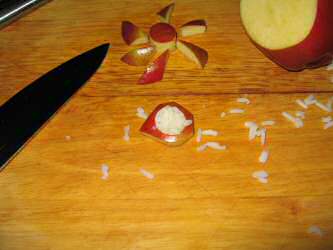 Making Apple-sushi for my hamster Lucy.