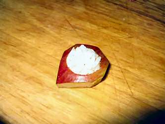 Making Apple-sushi for my hamster Lucy.