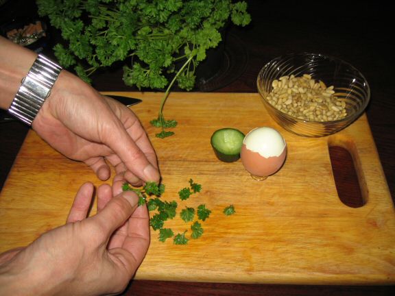 Cookin' Ceasar Salad for my hamster Lucy.