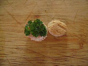 Micro Hamburger for your hamster.