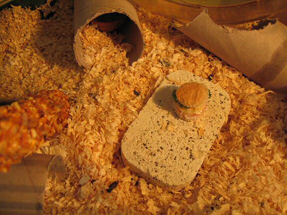 Micro Hamburger for your hamster.
