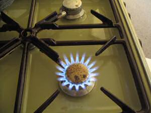 Cookin' r-Ice Tea for my hamster Lucy.