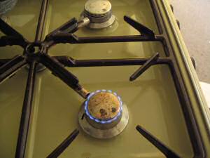 Cookin' r-Ice Tea for my hamster Lucy.