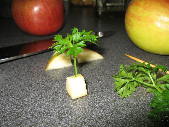 Close up what I 'cooked' up with some apple and parsley for my hamster Lucy.