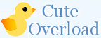CuteOverload.com