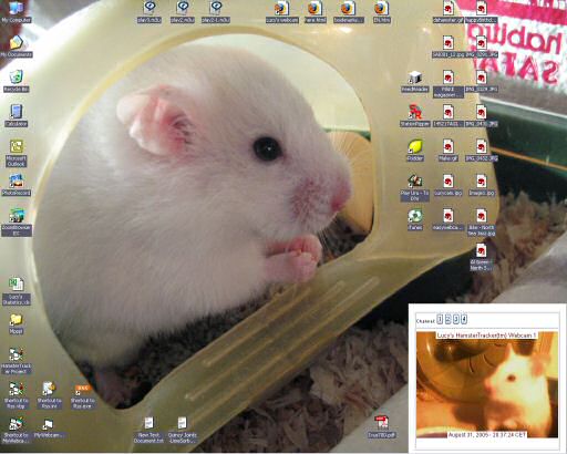 My desktop, starring Lucy