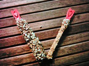 Picture of Lucy's favorite food