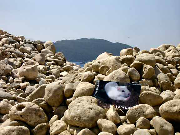 Lucy promotion in Kas - Turkey