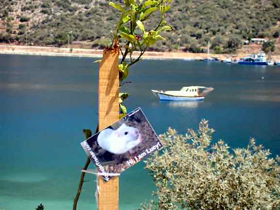 Lucy promotion in Kas - Turkey