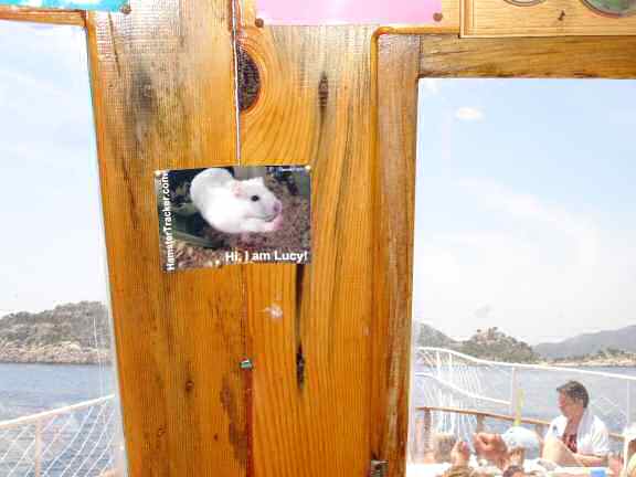 Lucy promotion in Kas - Turkey