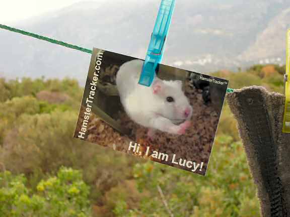 Lucy promotion in Kas - Turkey