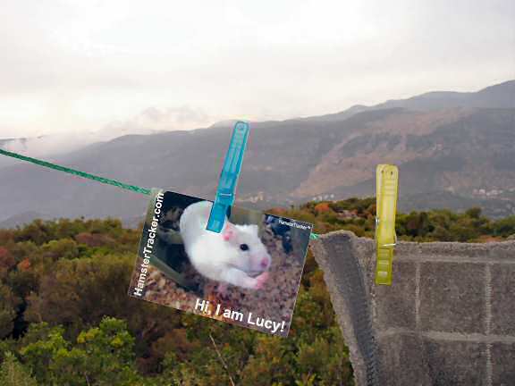 Lucy promotion in Kas - Turkey