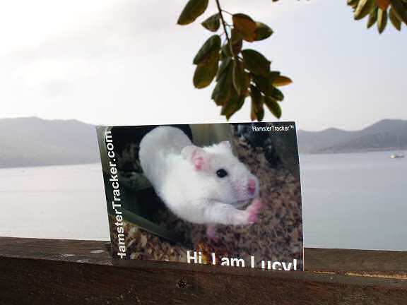 Lucy promotion in Kas - Turkey