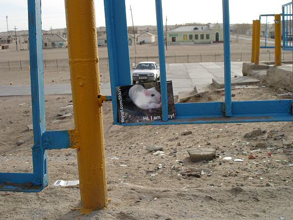 Lucy promotion in Mongolia