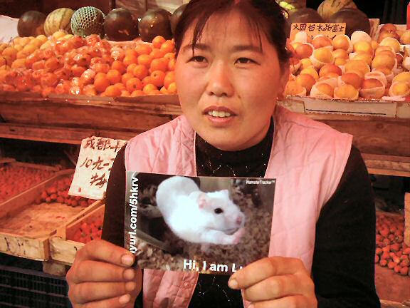 Lucy promotion by this lovely lady.