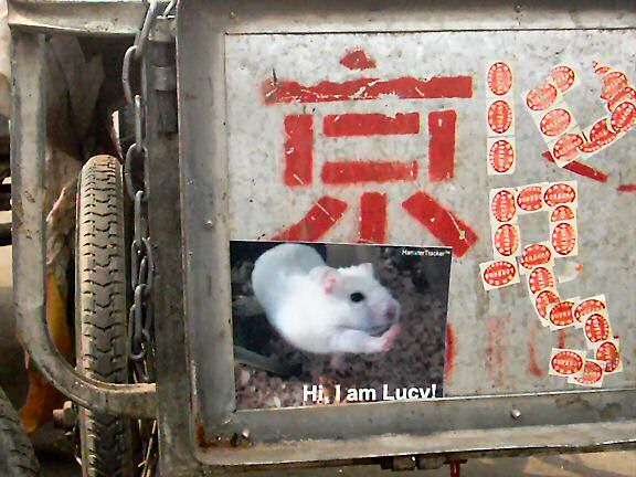 Lucy promotion on a cart on a market of Beijing.