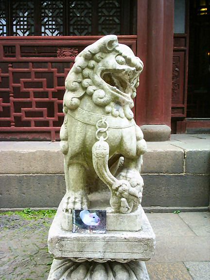 Lucy promotion in Shanghai - China.