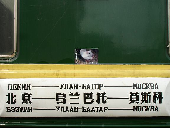 Lucy promotion on the Trans Syberia Express