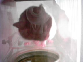 Another picture of Lucy with a reflection of my camera.