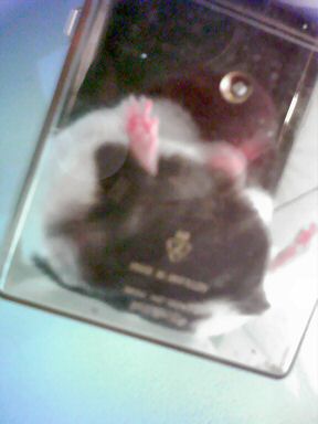 A picture of Lucy having a wash photographed from beneath her.