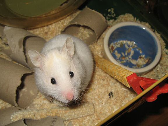 Picture of Lucy when I was talking to her.