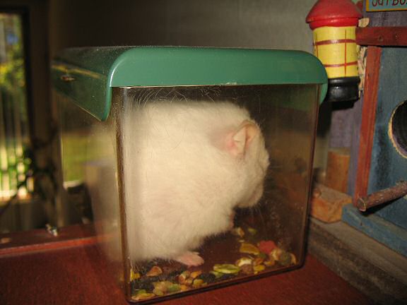 Picture of Lucy having a moment to herself.