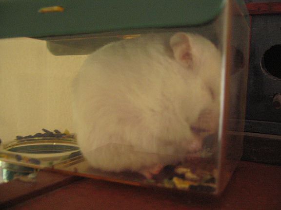 Picture of Lucy having a moment to herself.