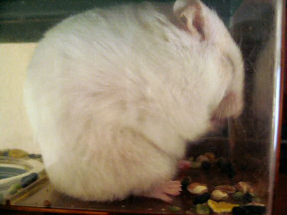 Picture of Lucy having a moment to herself.