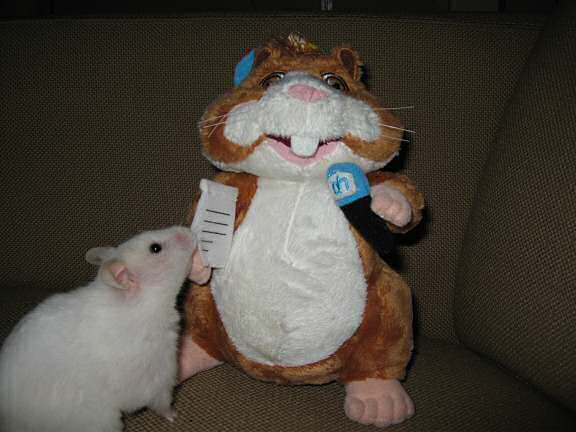 My hamster Lucy being interviewed by a puppet.