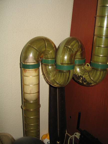 My hamster Lucy climbing up, to her 'meditation room'.