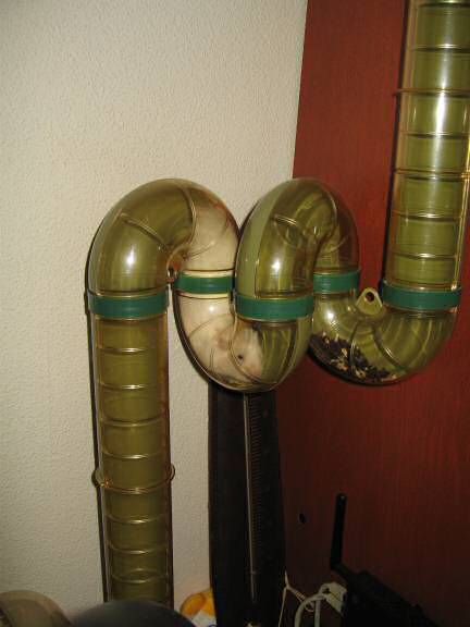 My hamster Lucy climbing up, to her 'meditation room'.