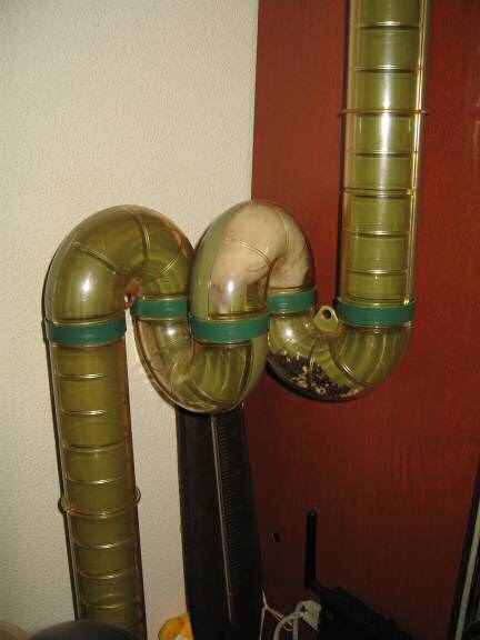 My hamster Lucy climbing up, to her 'meditation room'.