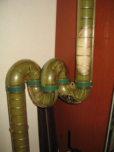 My hamster Lucy climbing up, to her 'meditation room'.