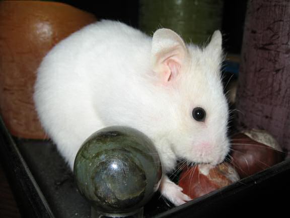 Another Cute, Lucy, Coffee-table, Photo Shoot!
