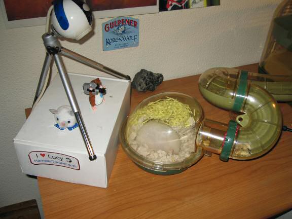 The big pillow of bedding I made for my hamster Lucy, in action.