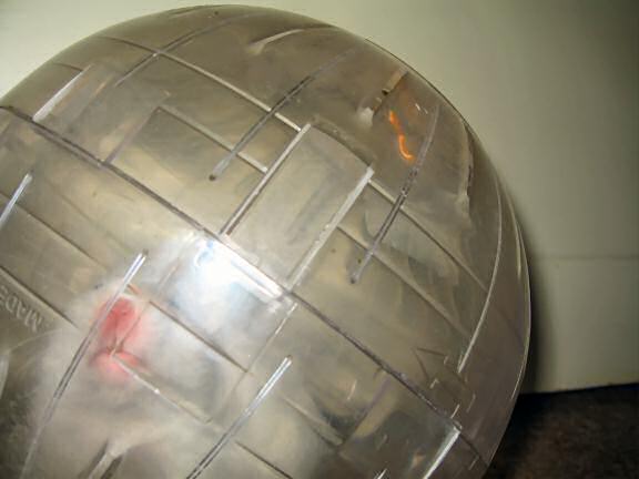 My hamster Lucy in her Explorer Ball!