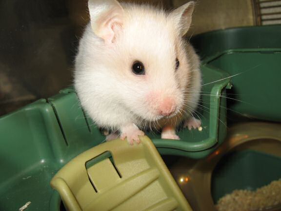 Lucy got a lot of Valentine cards!