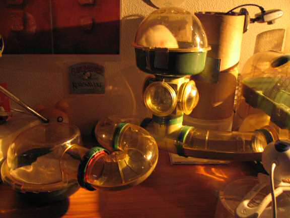 My hamster Lucy checking out her new sleeping quarters...